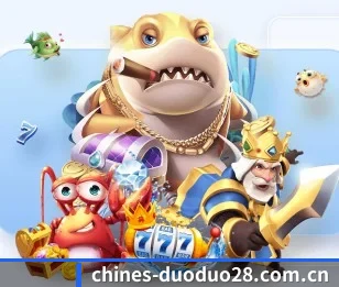 多多28的故事 - 体育资讯内容服务（duoduo28）